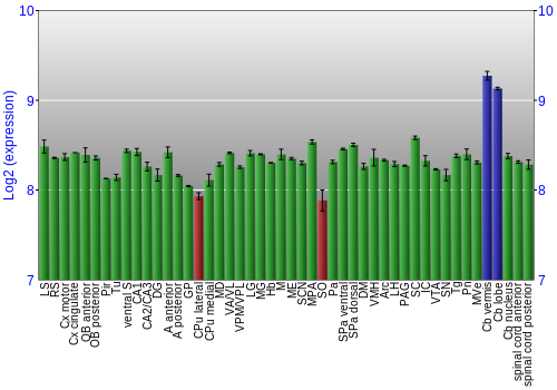 Multi-state expression graph