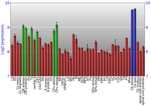 Multi-state expression graph