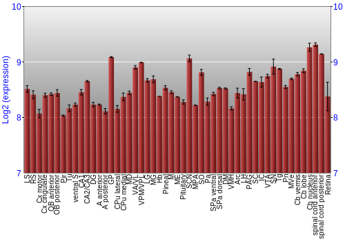 Expression graph