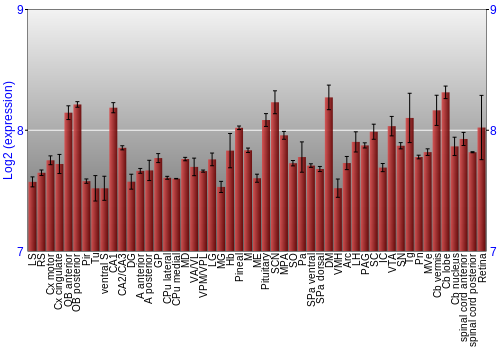 Expression graph