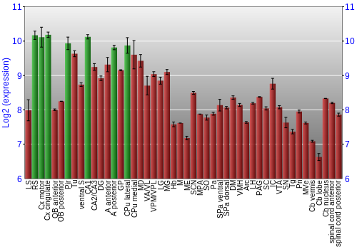 Multi-state expression graph