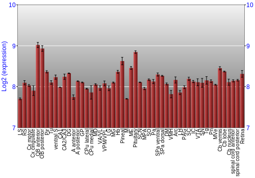 Expression graph