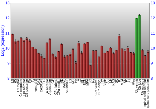 Multi-state expression graph
