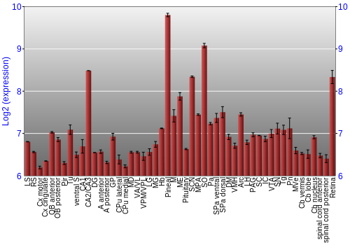 Expression graph