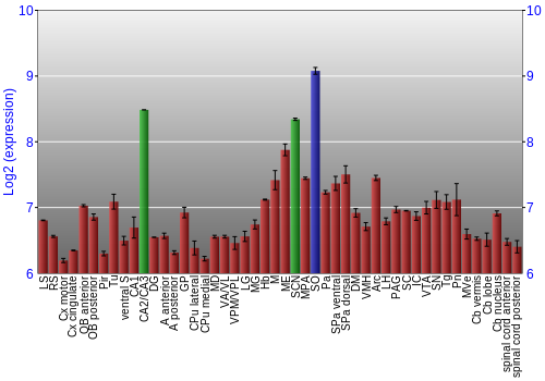 Multi-state expression graph