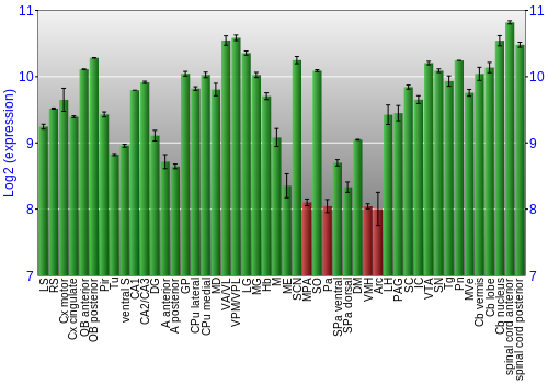 Multi-state expression graph