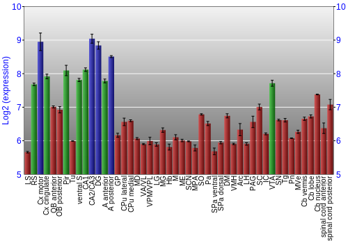 Multi-state expression graph