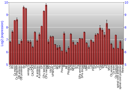 Expression graph