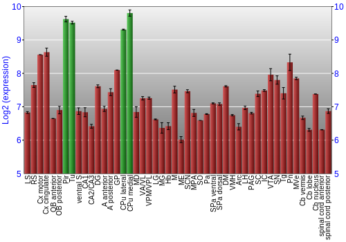 Multi-state expression graph