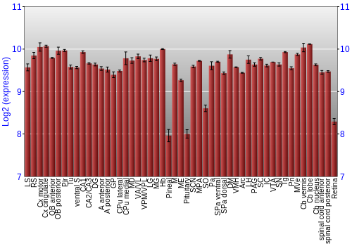 Expression graph