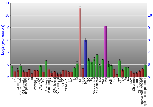 Multi-state expression graph