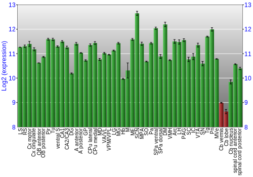 Multi-state expression graph