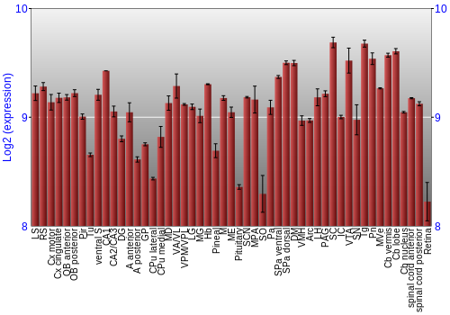 Expression graph