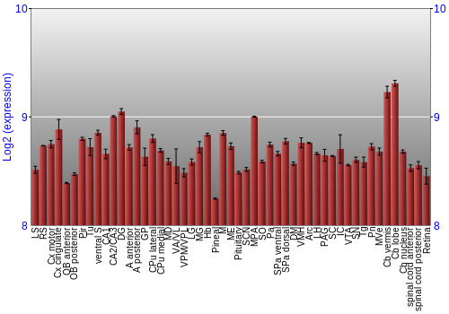 Expression graph