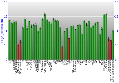 Multi-state expression graph