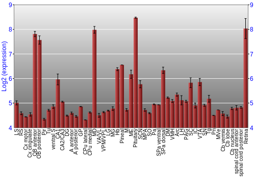 Expression graph