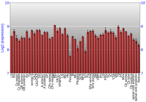 Expression graph