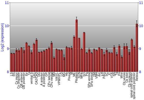 Expression graph