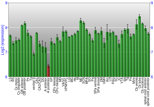 Multi-state expression graph