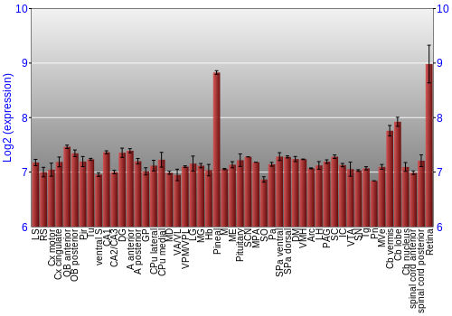 Expression graph