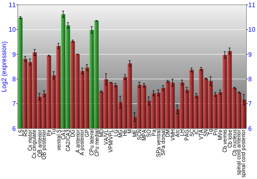 Multi-state expression graph
