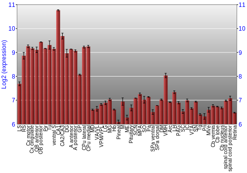 Expression graph