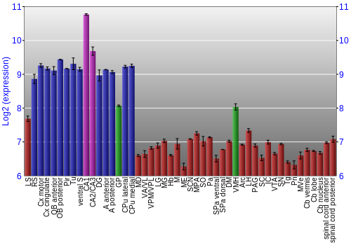 Multi-state expression graph