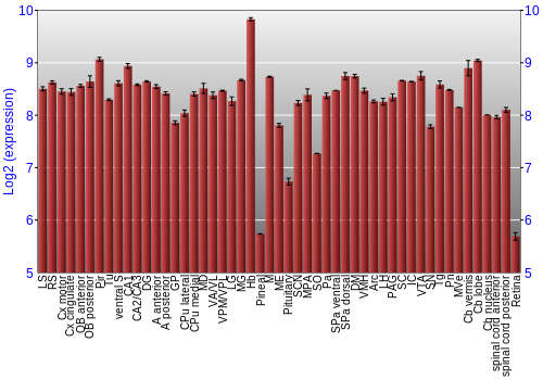 Expression graph