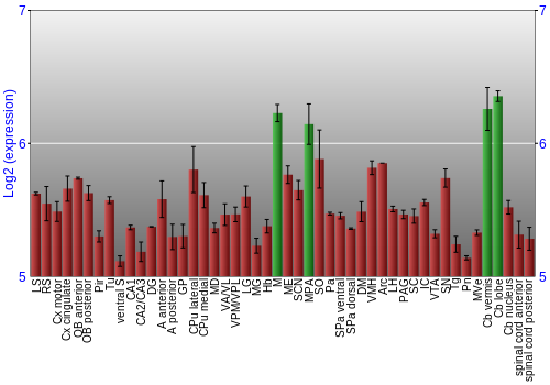 Multi-state expression graph