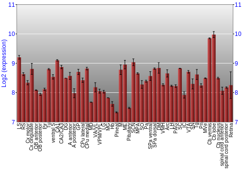 Expression graph