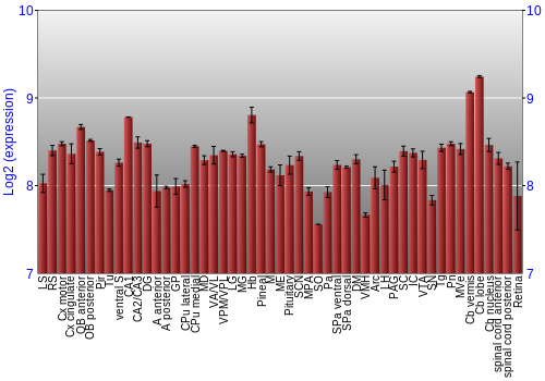 Expression graph