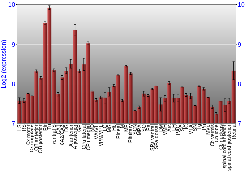 Expression graph