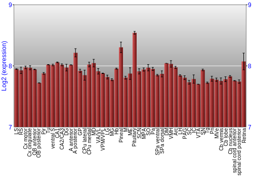 Expression graph