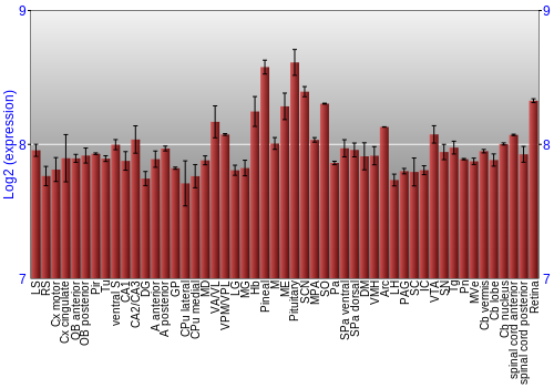 Expression graph