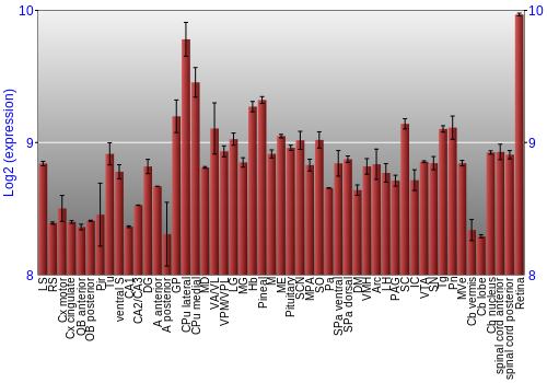 Expression graph