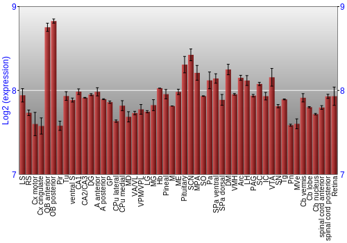 Expression graph