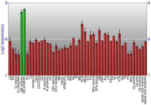 Multi-state expression graph