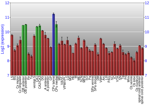 Multi-state expression graph
