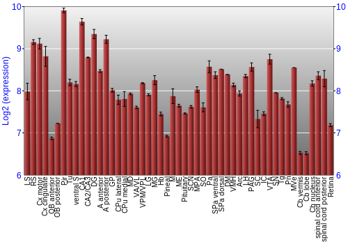 Expression graph
