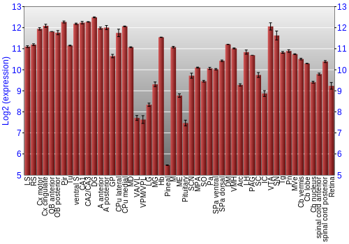 Expression graph