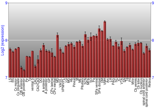Expression graph