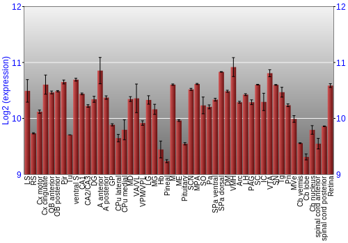 Expression graph