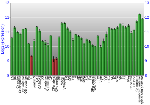 Multi-state expression graph