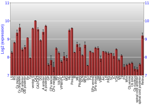Expression graph