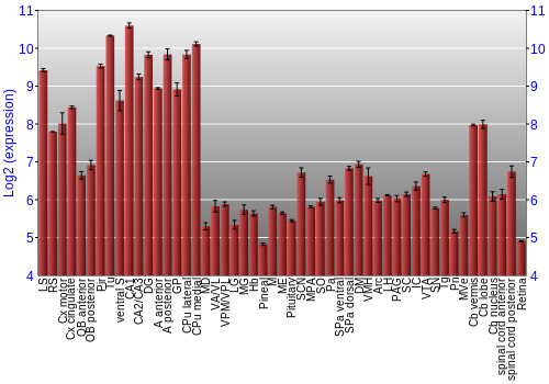 Expression graph
