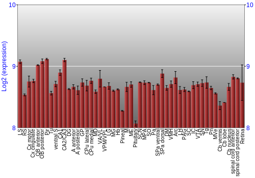 Expression graph