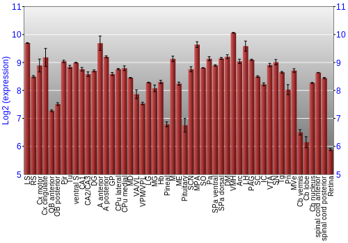 Expression graph