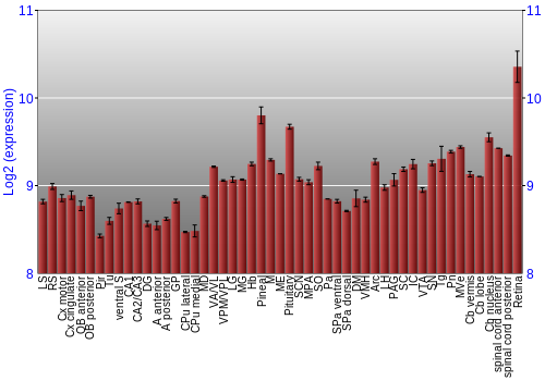 Expression graph
