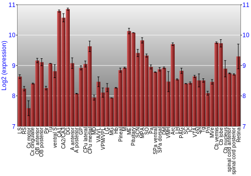 Expression graph