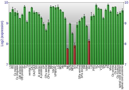 Multi-state expression graph